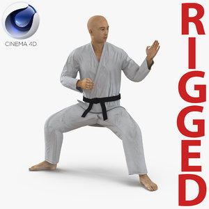 japanese karate fighter rigged 3d model