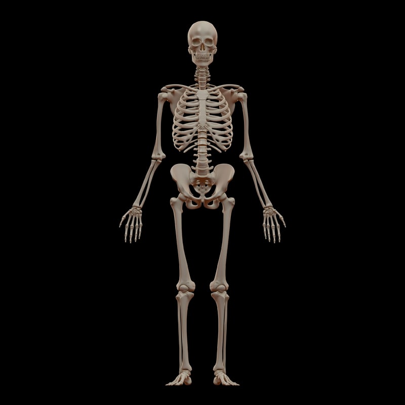 Skeleton Blender Models for Download | TurboSquid