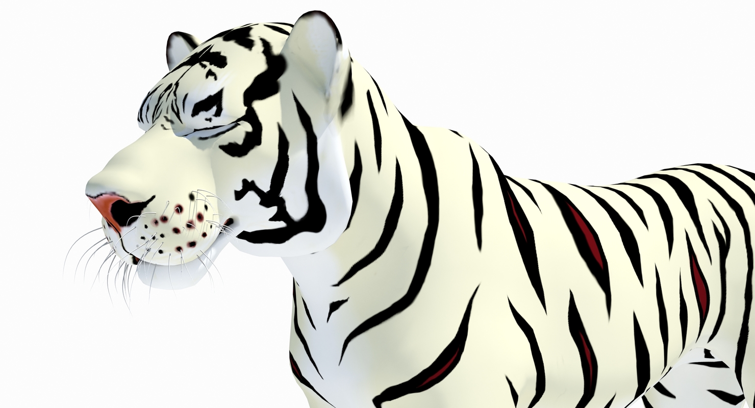 cartoon tiger white natural 3d model