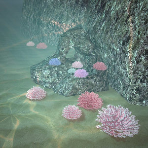 coral acropora water 3d obj