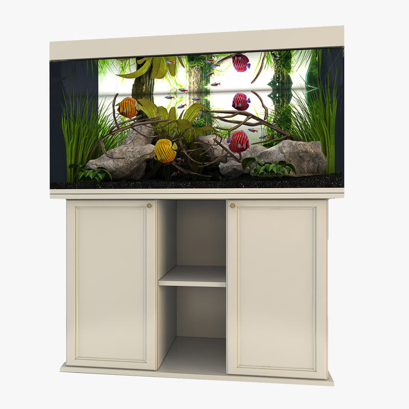  aquarium  tropical 3d model 