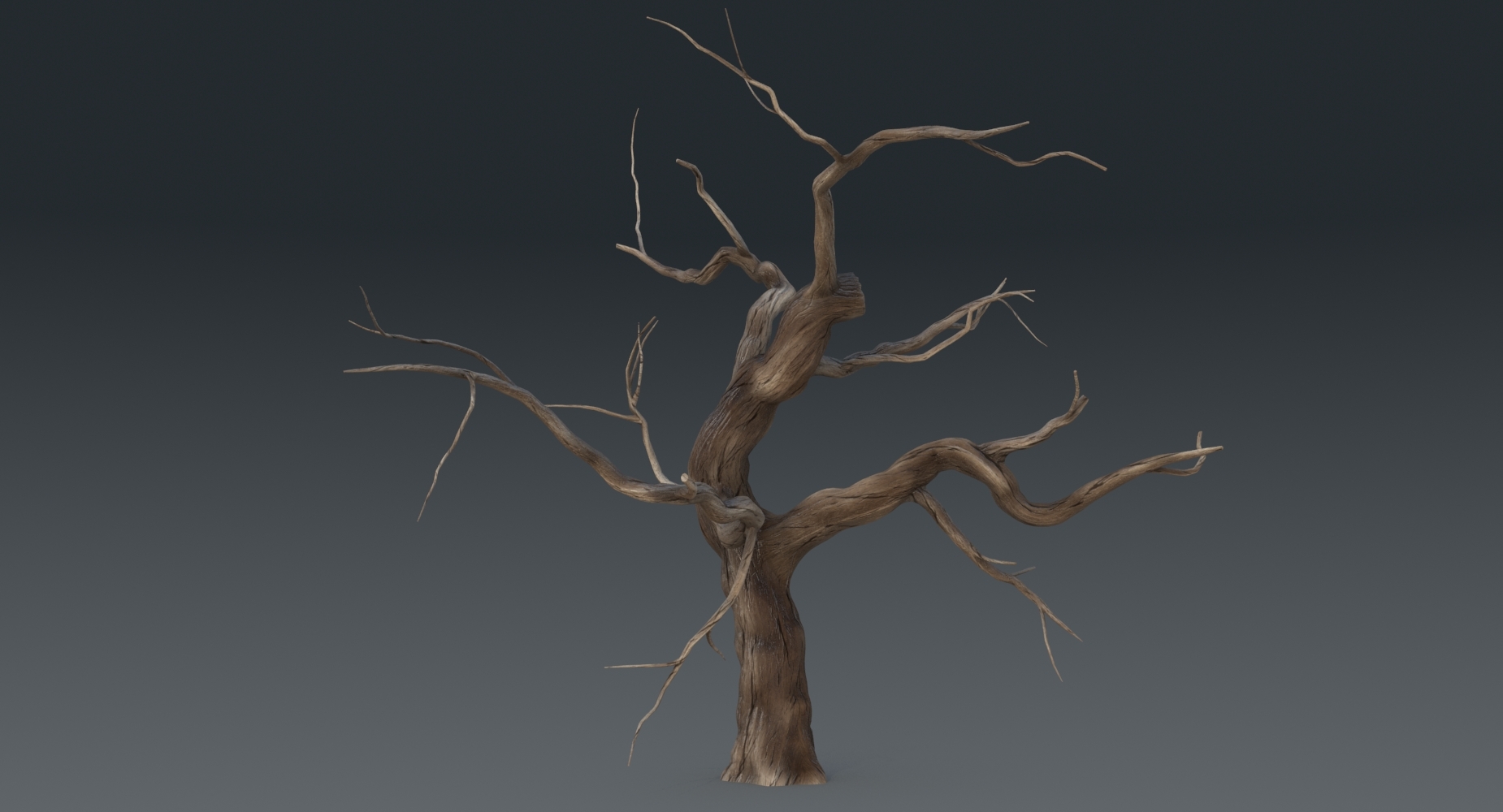 枯れ木3Dモデル - TurboSquid 1106746