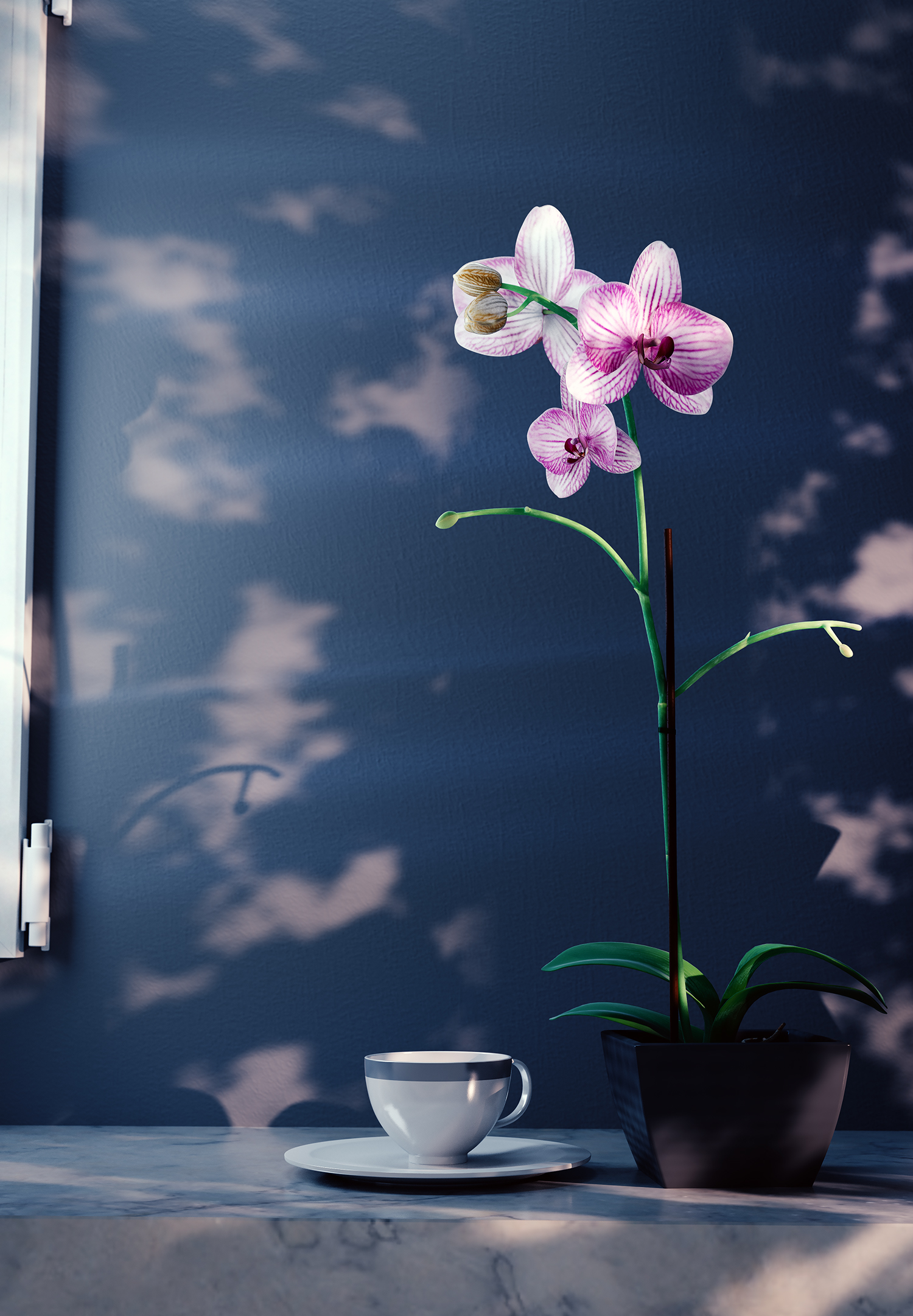 盆栽兰花3d模型