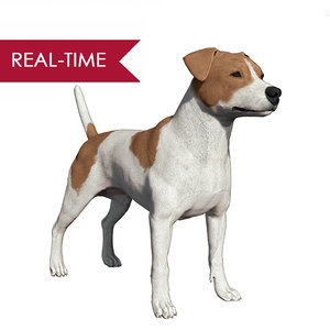 3d realistic jack russell dog