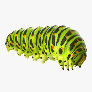 3d c4d caterpillar