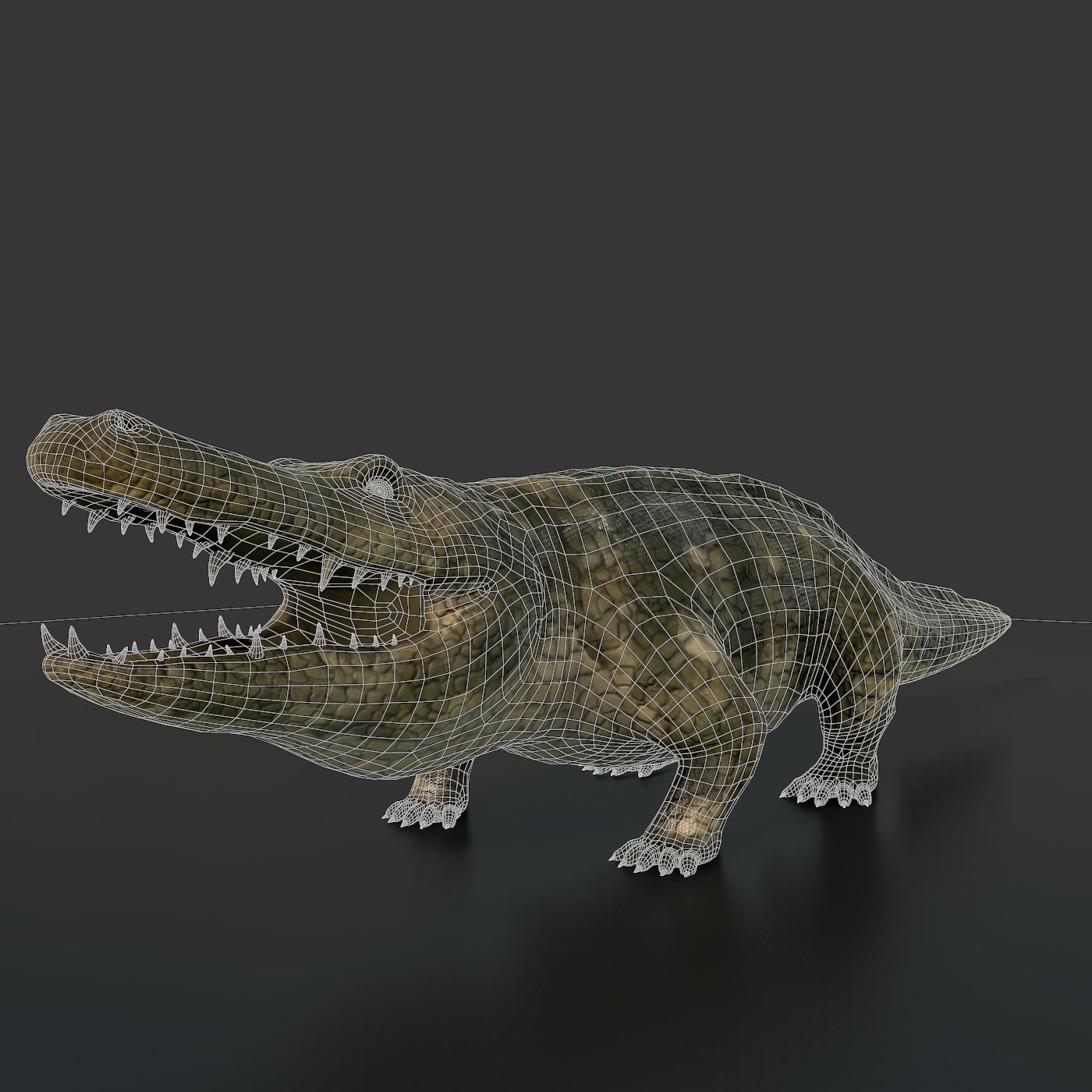 3d Realistic Crocodile