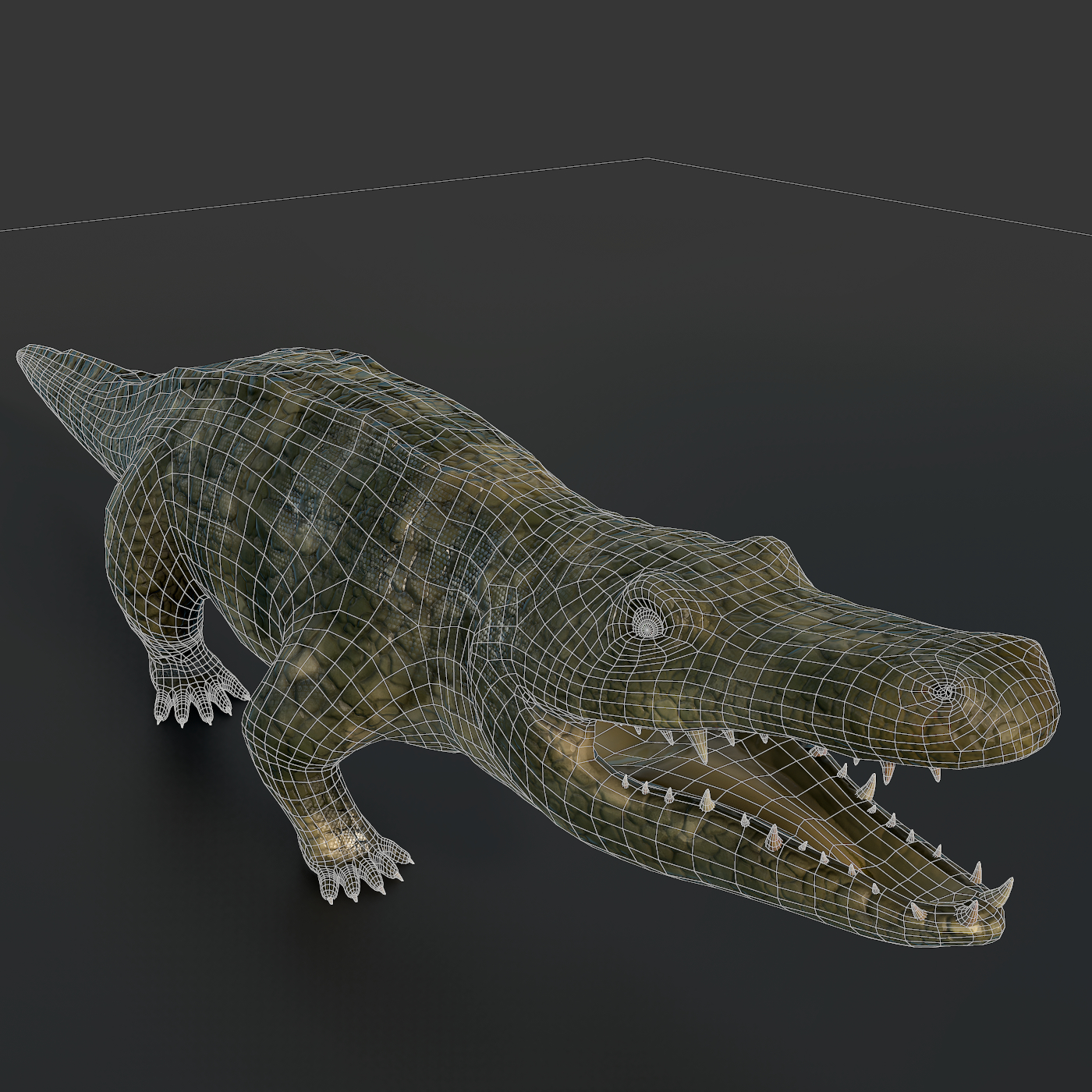 3d realistic crocodile