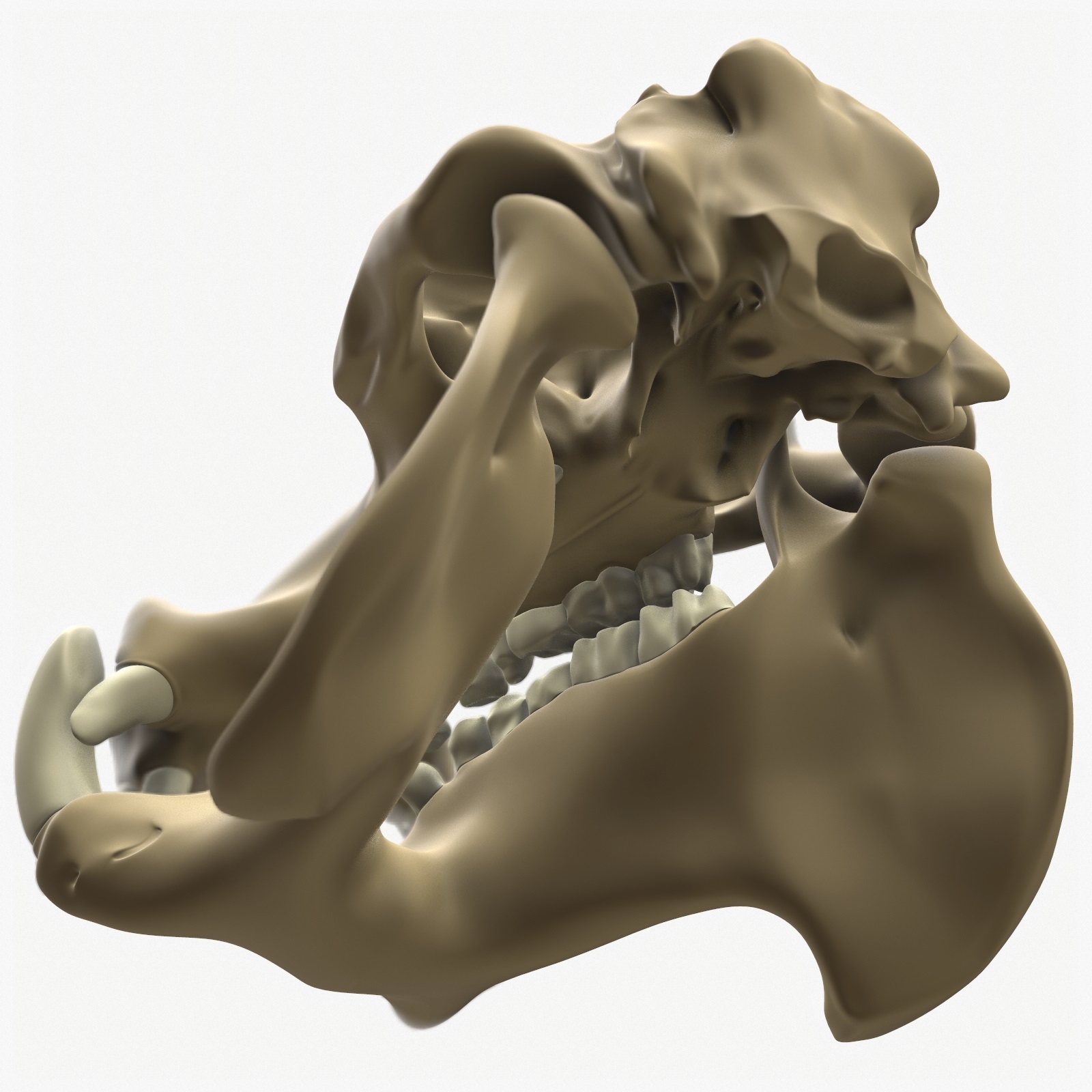 hippopotamus skull 3ds