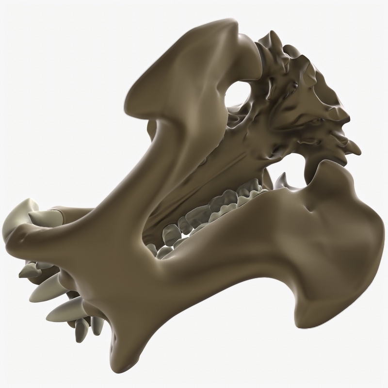 hippopotamus skull 3ds