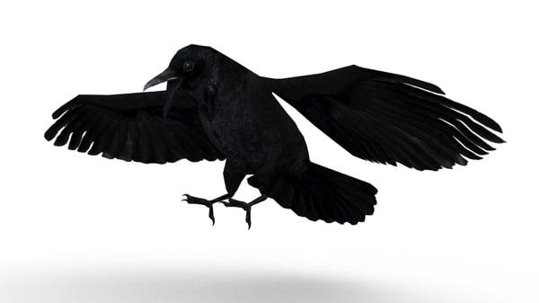 腐肉カラスアニメ化3dモデル Turbosquid