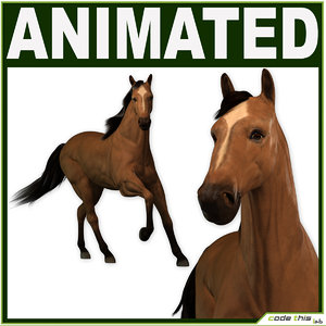 3d model of animations