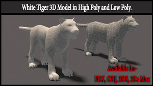 white tiger 3d model