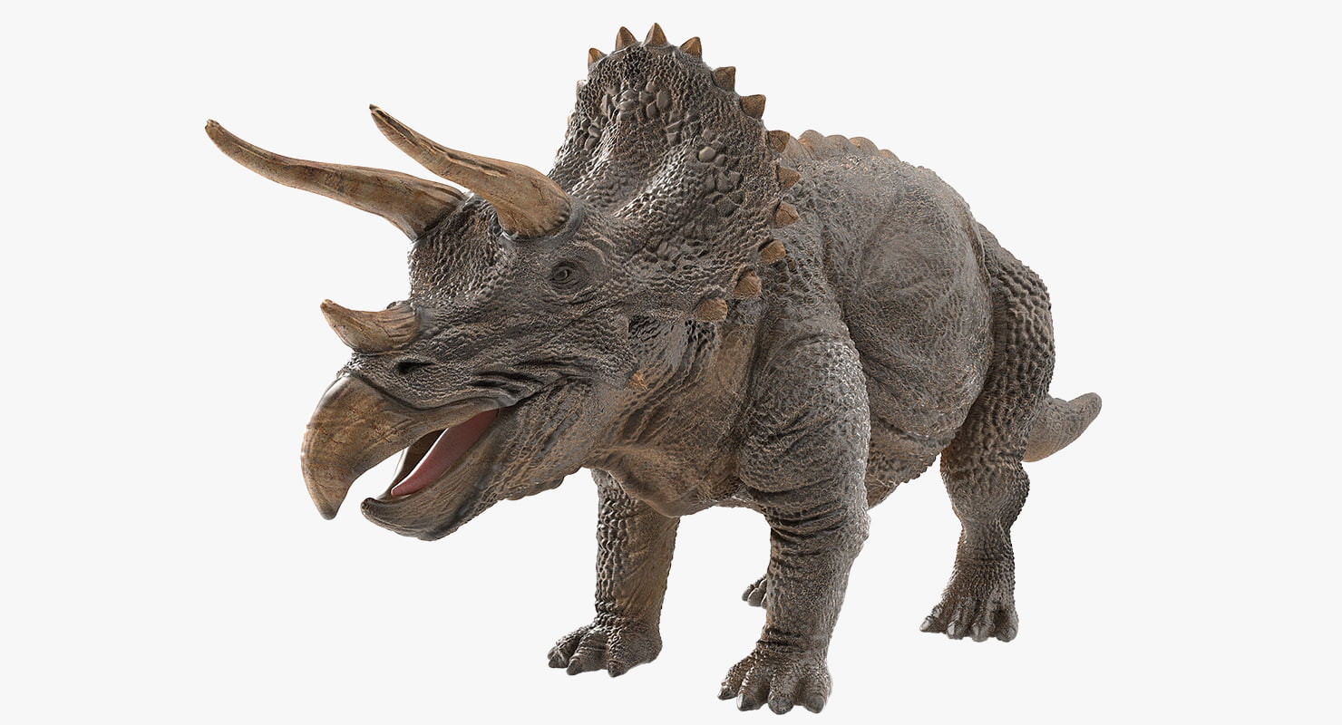 triceratops 33