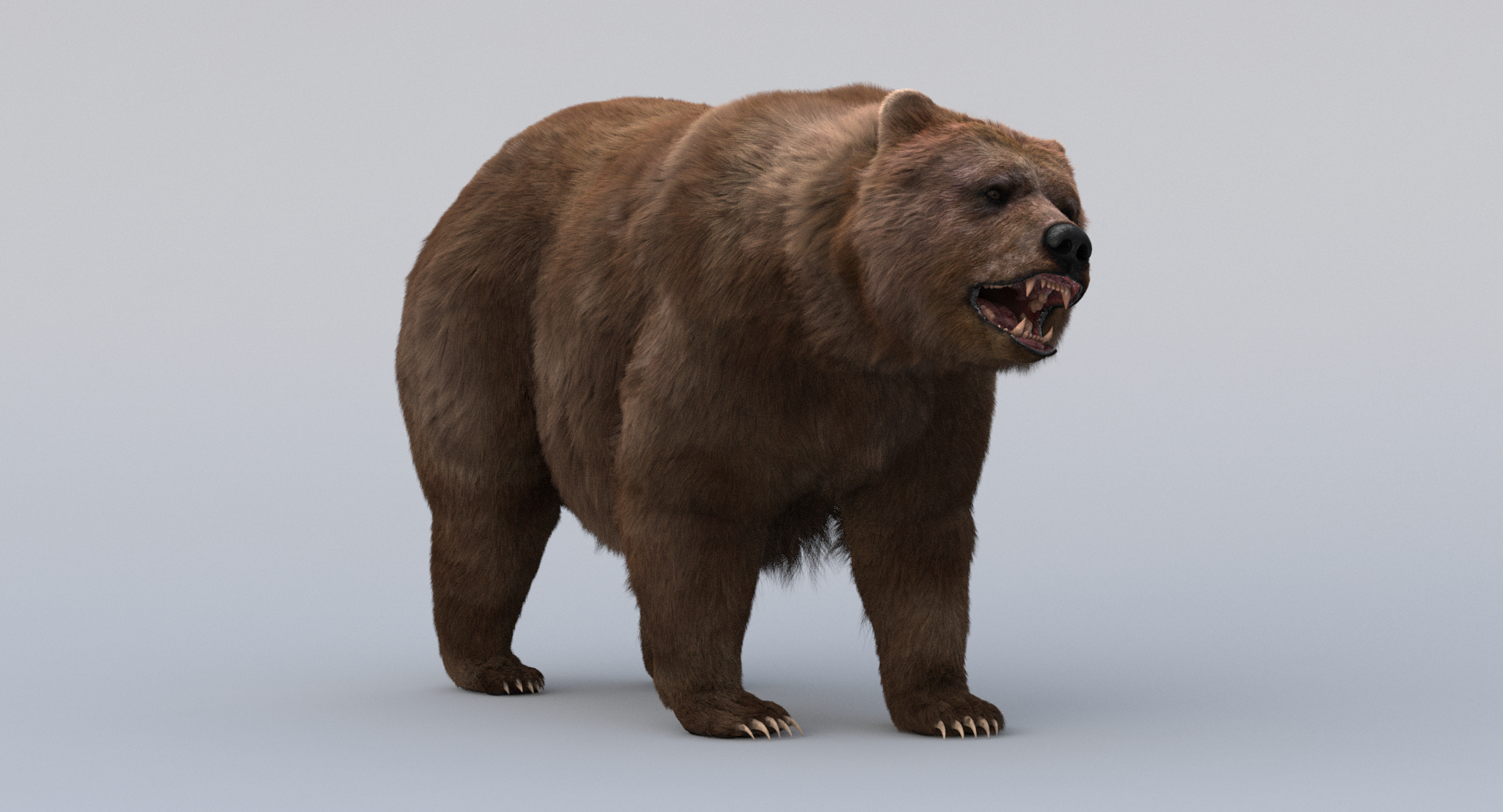 bear rigged fur 3d model