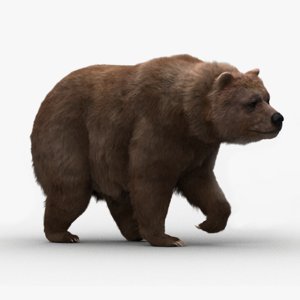 bear rigged fur 3d model