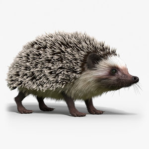 hedgehog fur 3d max
