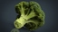 broccoli 3d model