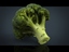 broccoli 3d model