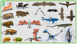 2D Animated Animals