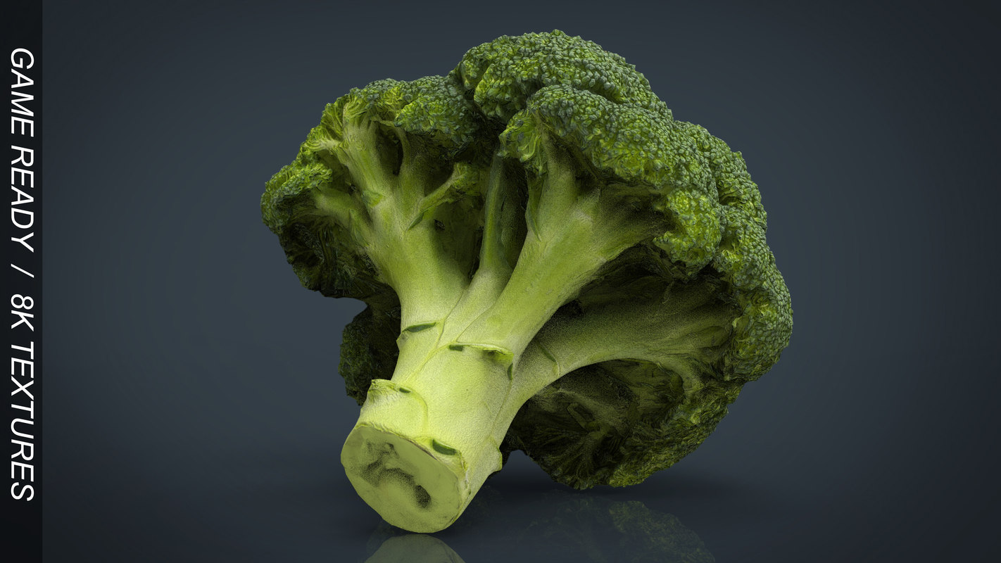 Broccoli 3d Model 5566