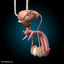 3d model male human reproductive urinary