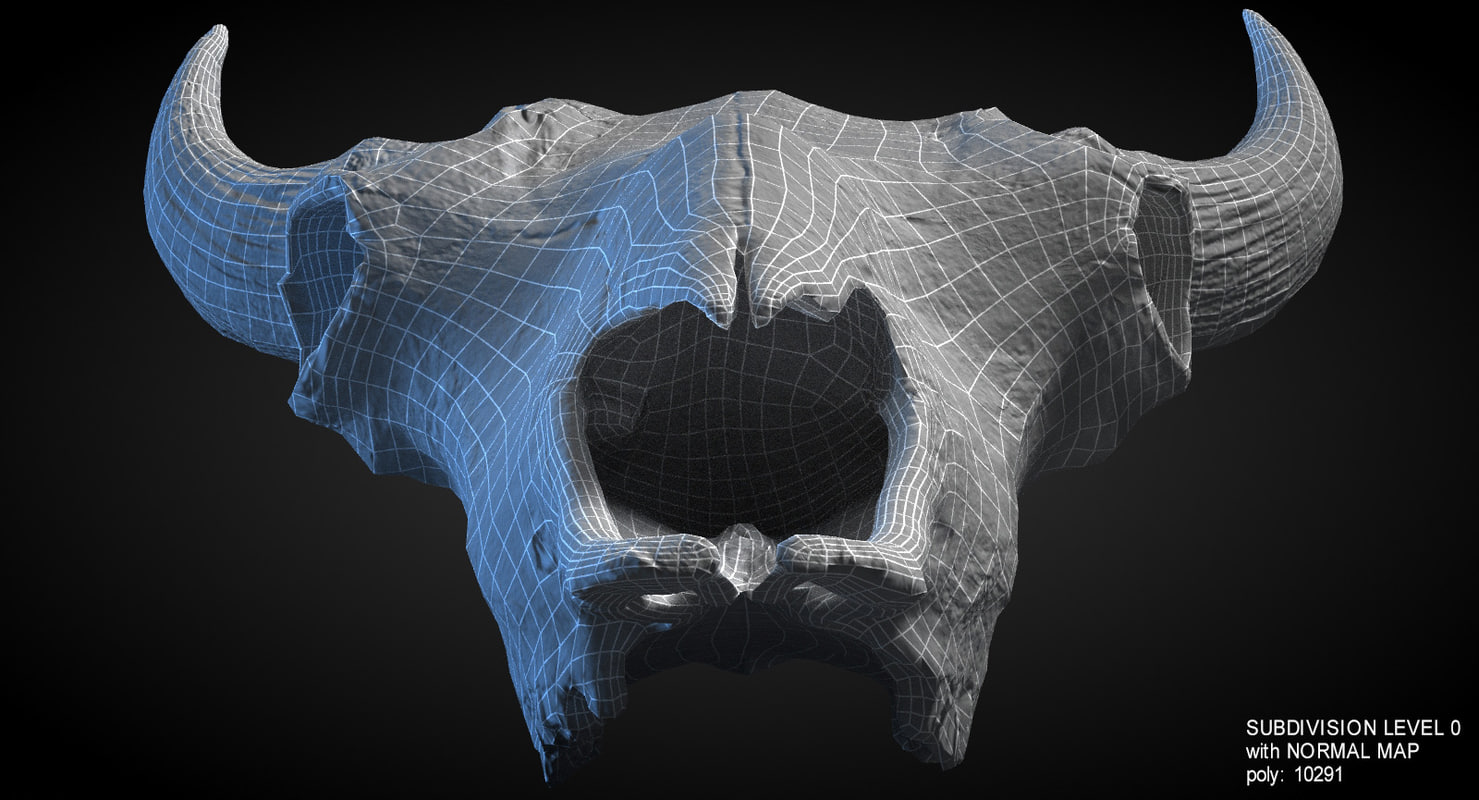 buffalo skull 3d model