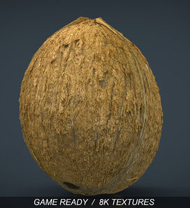 3d model coconut