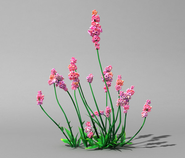 Flower 3d model