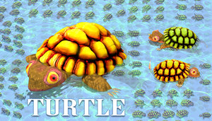 Animated Turtle