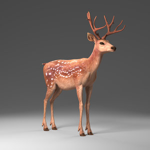 3d deer model
