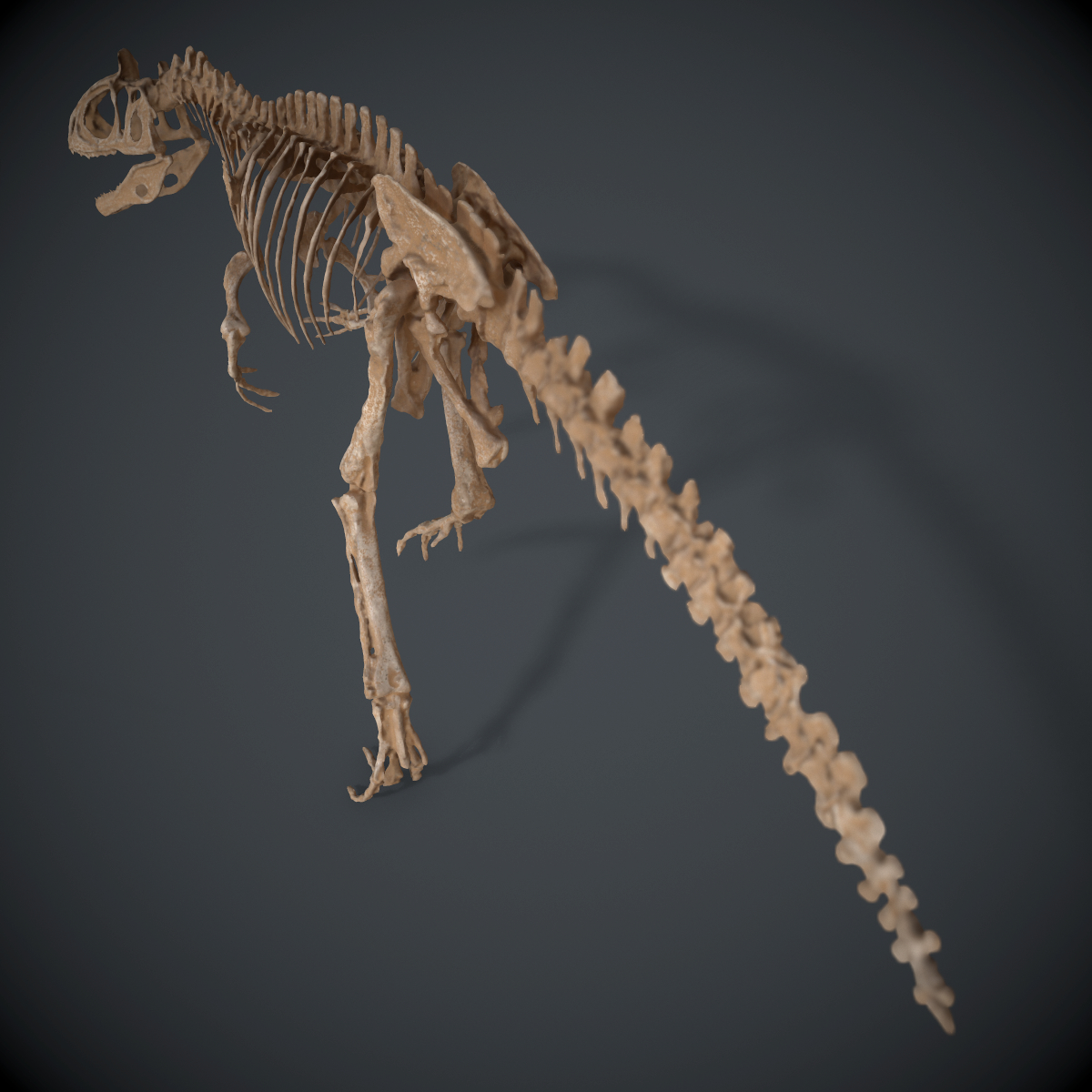 allosaur skeleton 3d obj