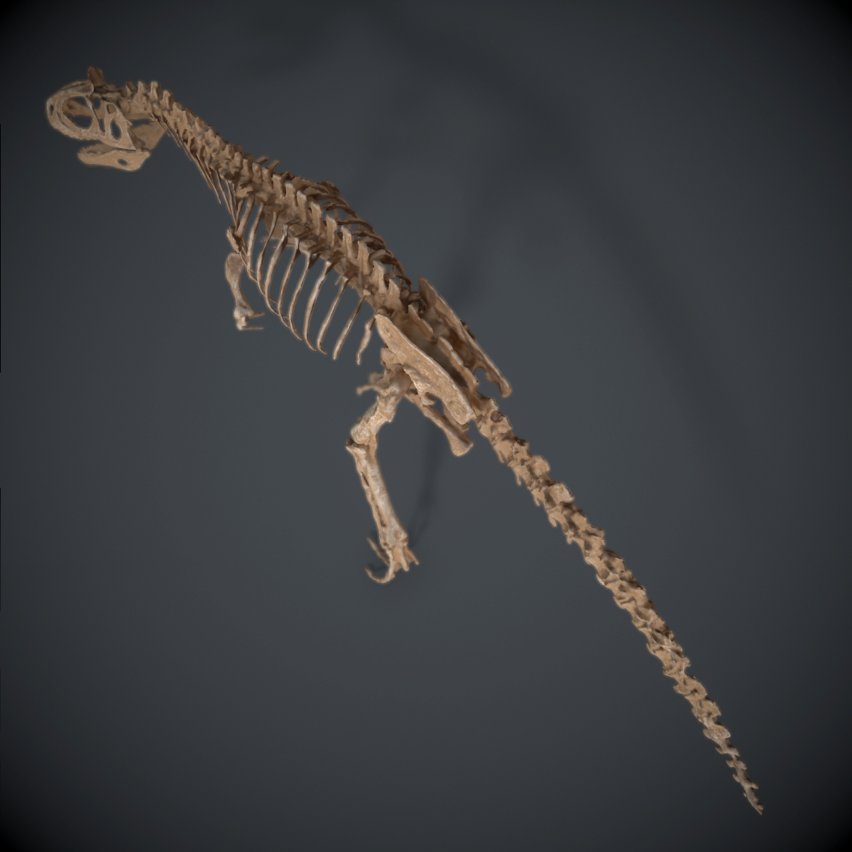 allosaur skeleton 3d obj