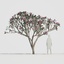 3d model trunk flower 10 tree