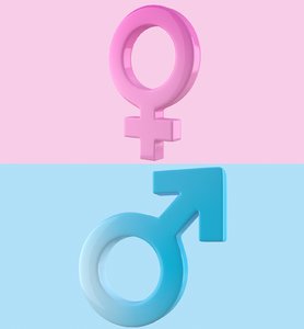gender symbols set 3d max