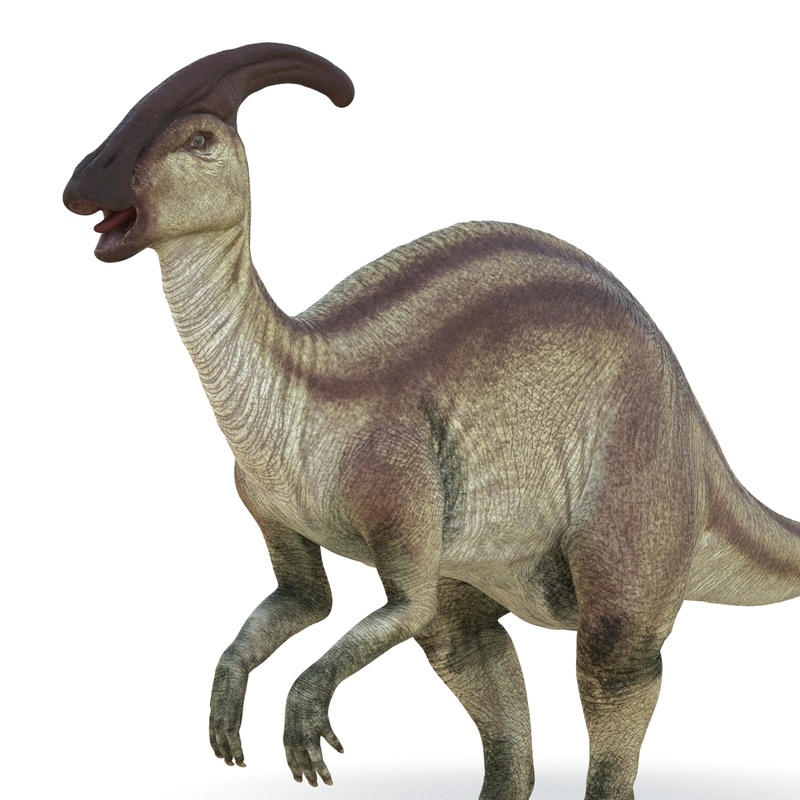 3d model parasaurolophus rigged