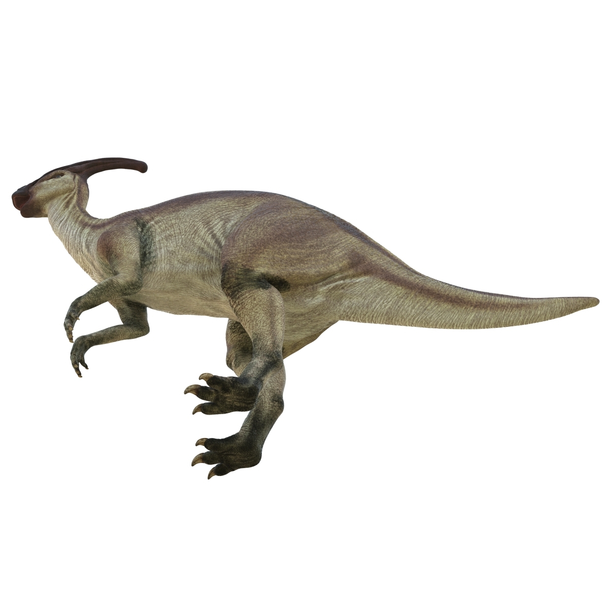 parasaurolophus rigged 3d ma