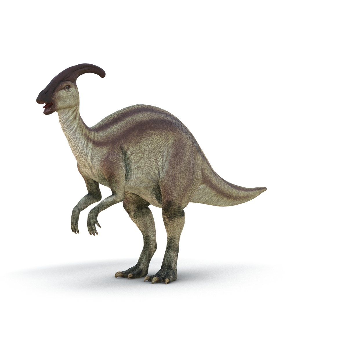 3d model parasaurolophus rigged