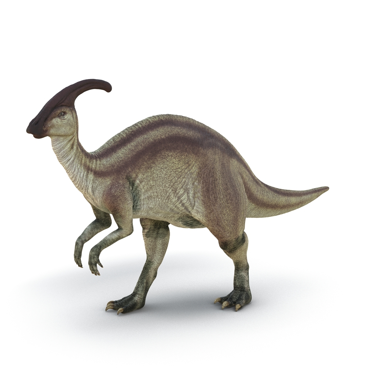 3d model parasaurolophus rigged