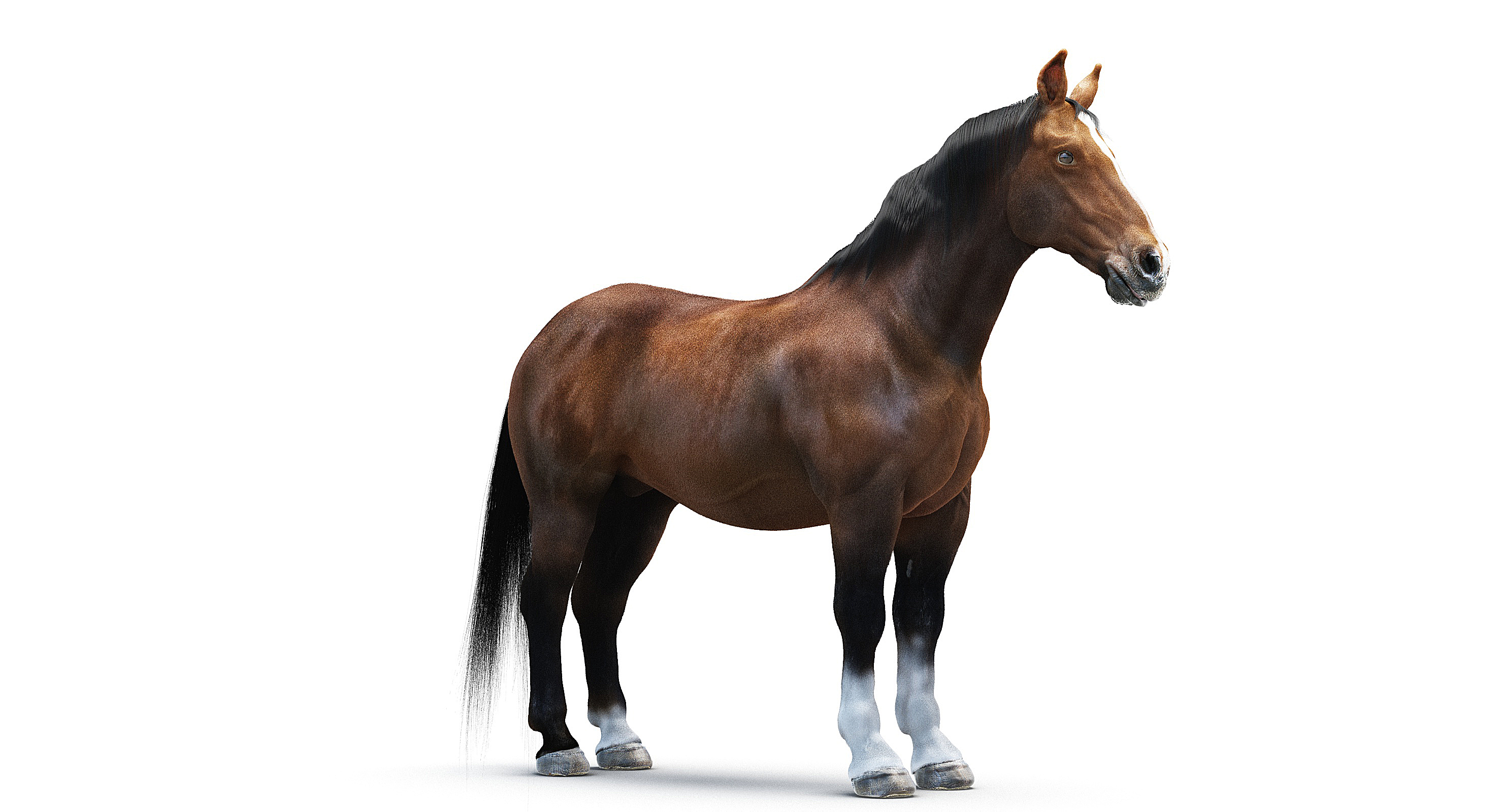 3d model animals horse donkey sheep