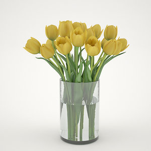 3d yellew tulips model
