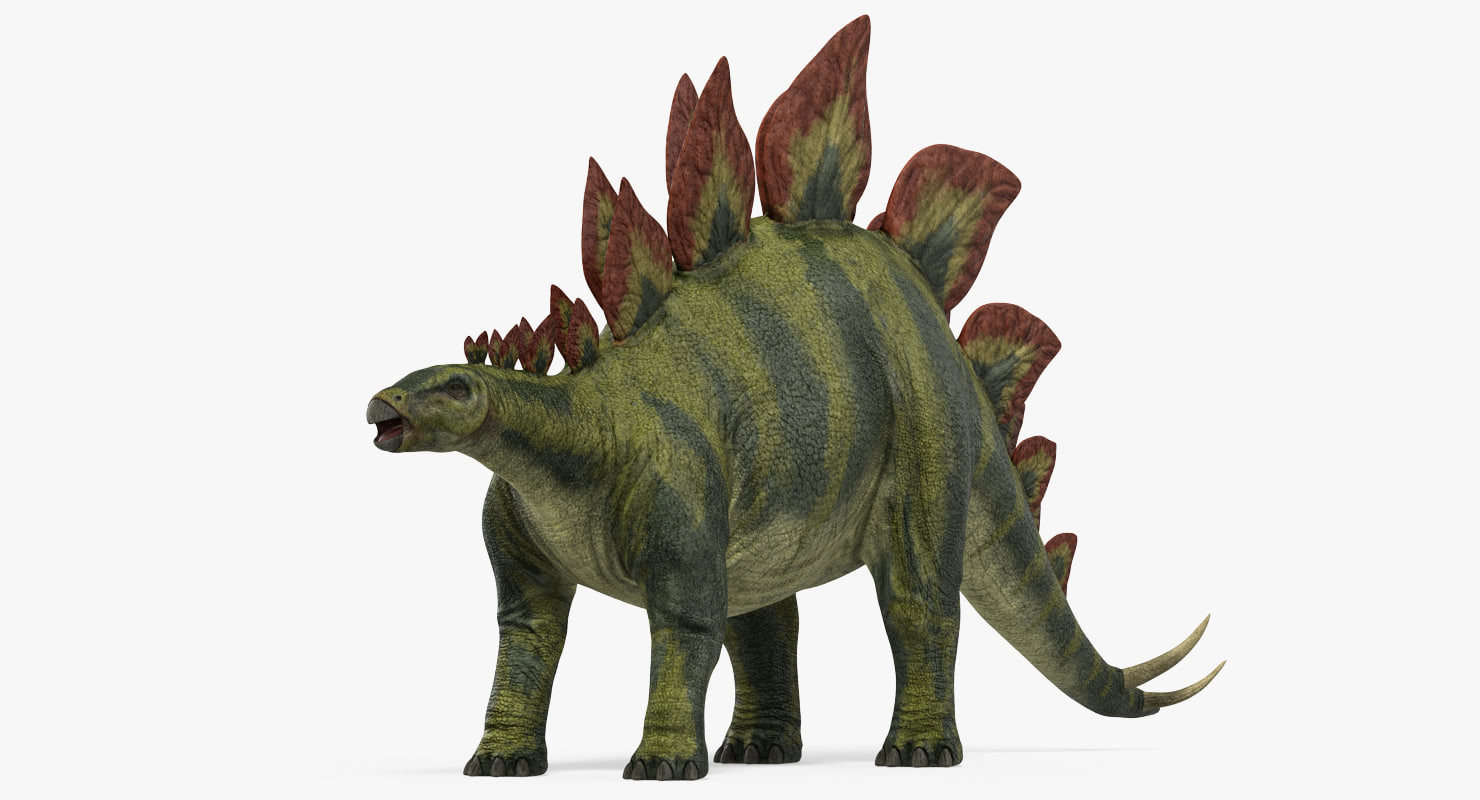 dinosaur similar to stegosaurus