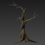 3d model tree stump