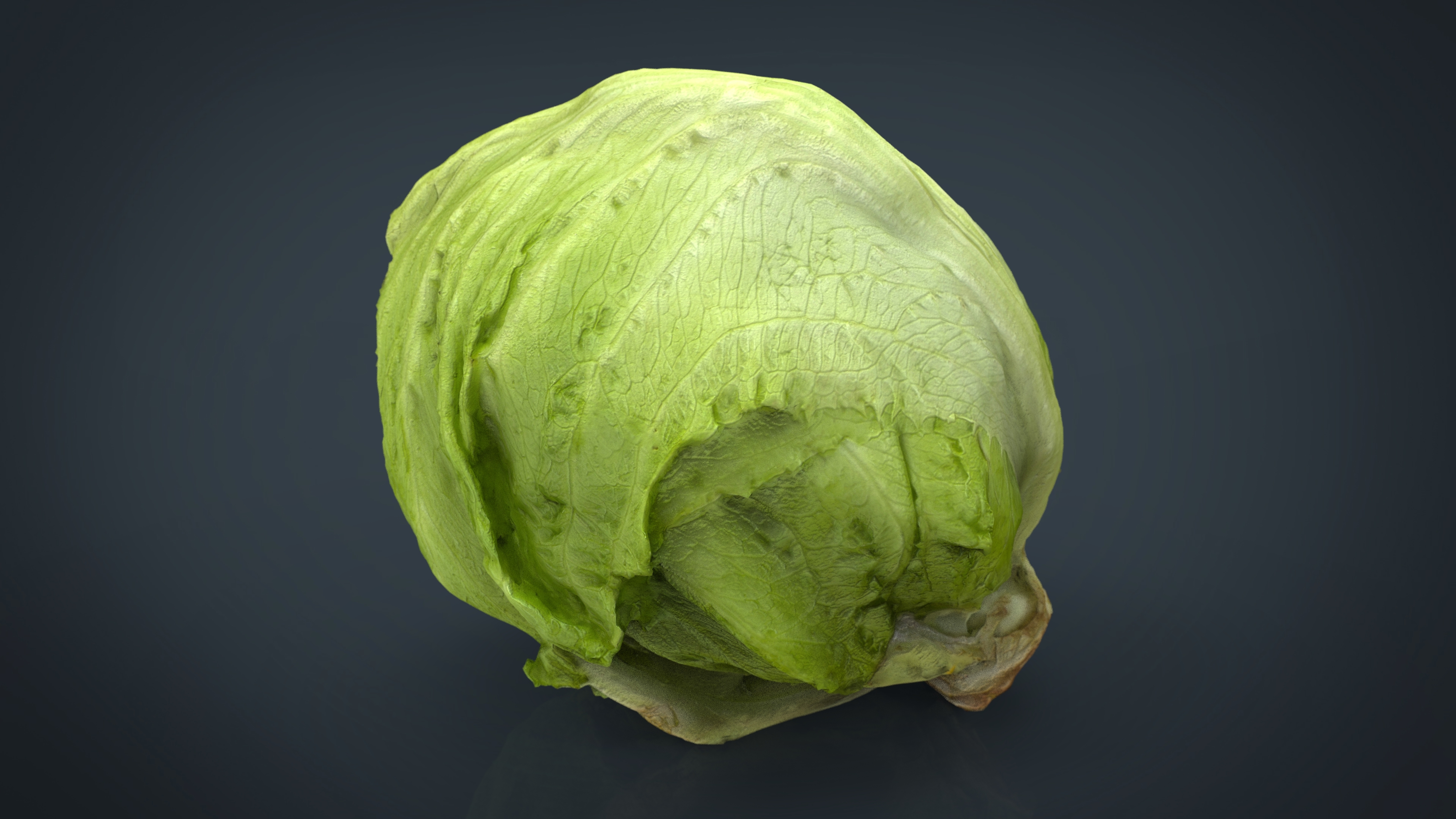 max iceberg lettuce