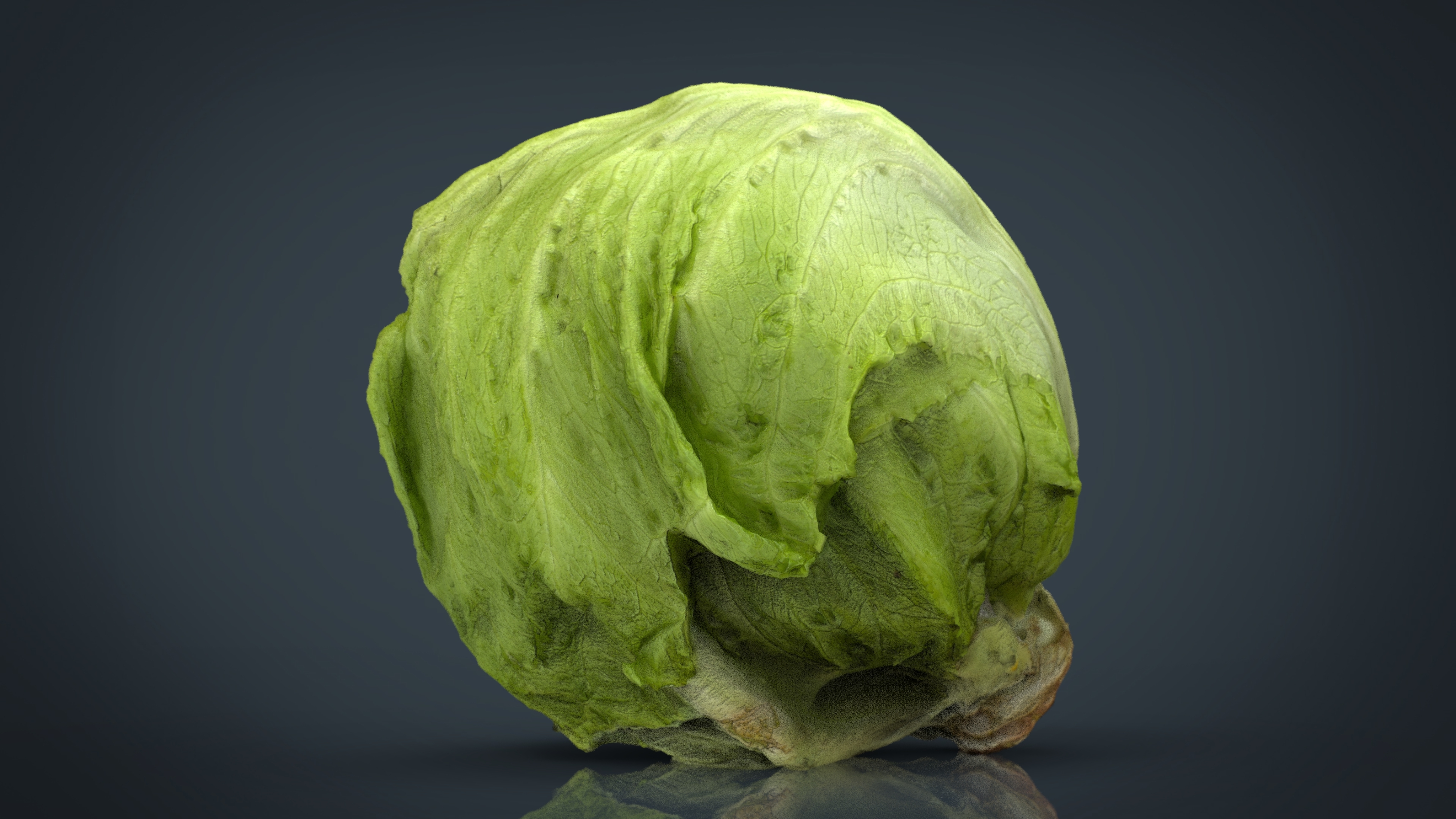 max iceberg lettuce