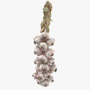 hanging garlic 3d max