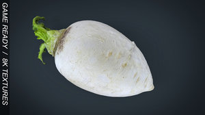 3d turnip