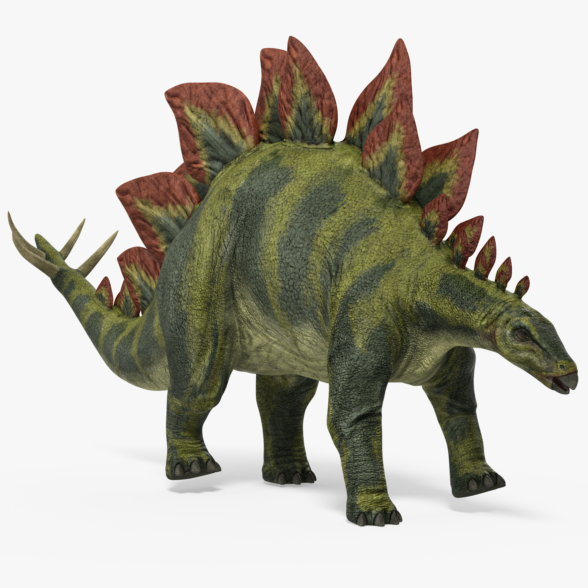 jwe stegosaurus