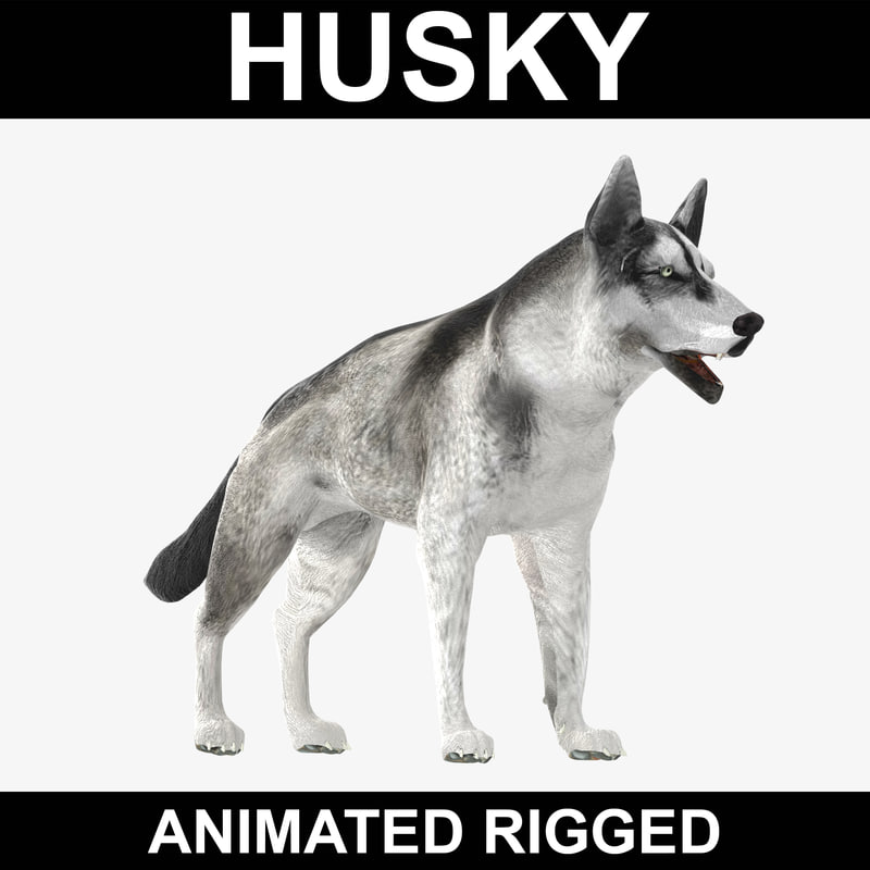 realistic robot dog husky