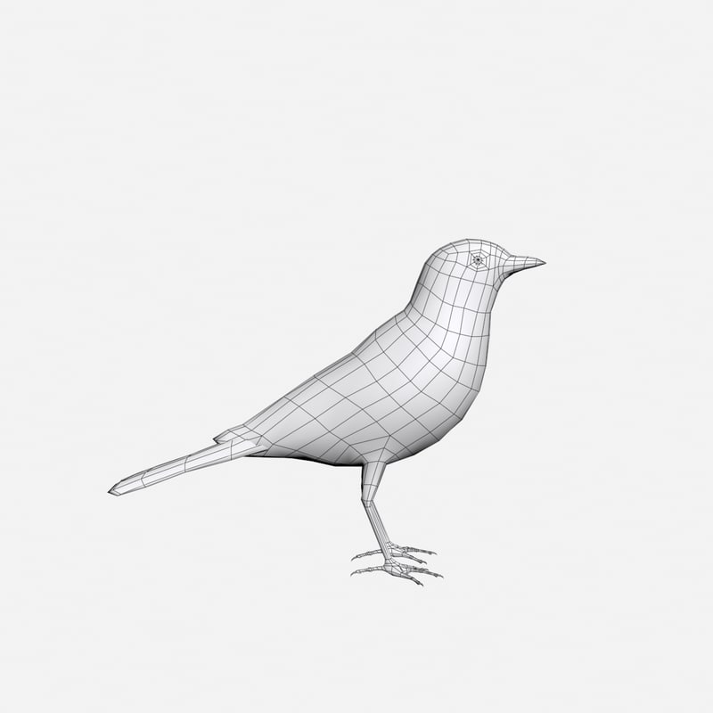 Bird 3d Max