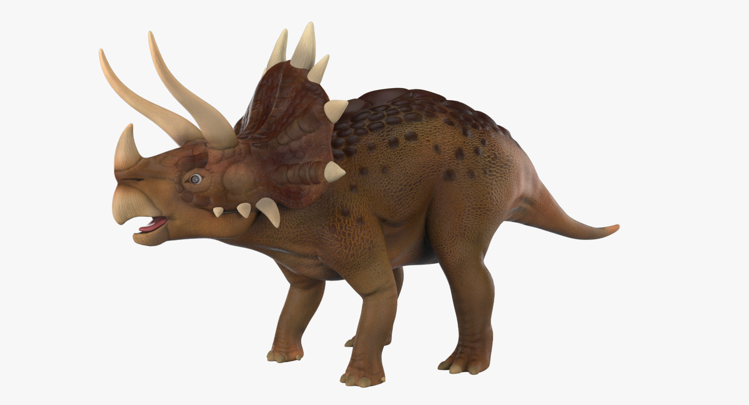 triceratops google 3d